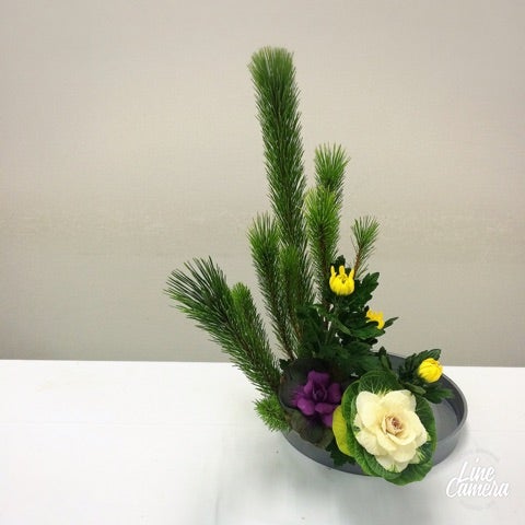 お正月の生け花 和室や床の間におすすめの盛花お花選びのコンシェルジュ