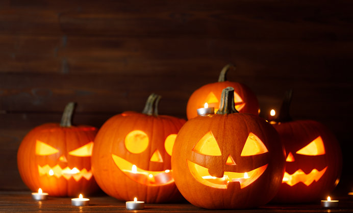 撮影スポット ～ ガーデニングショップ ハロウィン時期に- 関西カメラ女子部