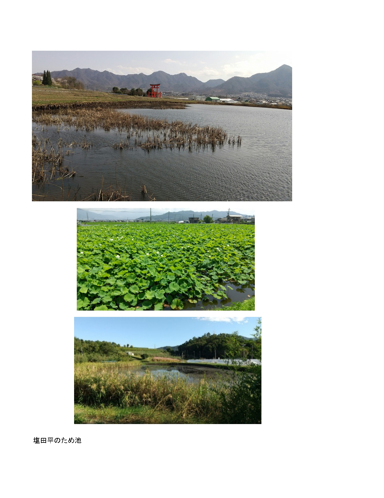 🌻上田市8月のイベント🌻 1.第40回 信州の鎌倉塩田平の夏祭り 日にち 8月12日 火時間 15：50〜21：30場所 中塩田小学校グランド ※画像なし 2.丸子花市 日にち 8月12日 火時間 18：45〜21：00場所 上丸子商店街 沢田・海戸・駅前・三反田3.第44回 武石夏