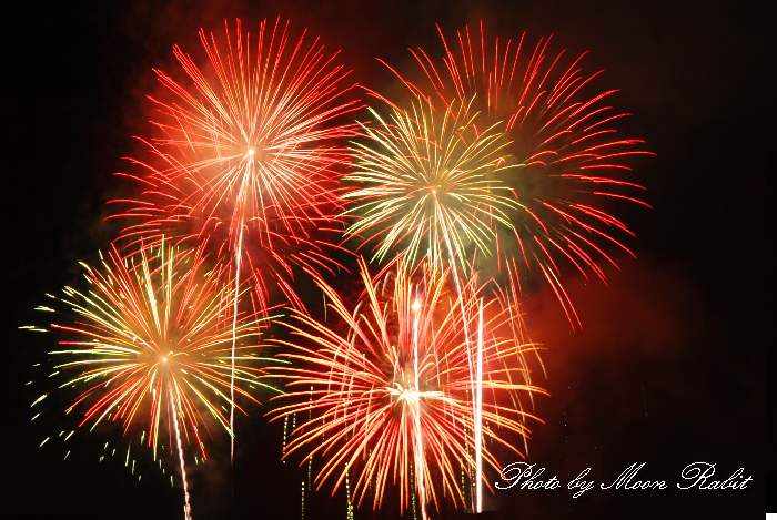 あさか野夏まつり花火大会 駐車場