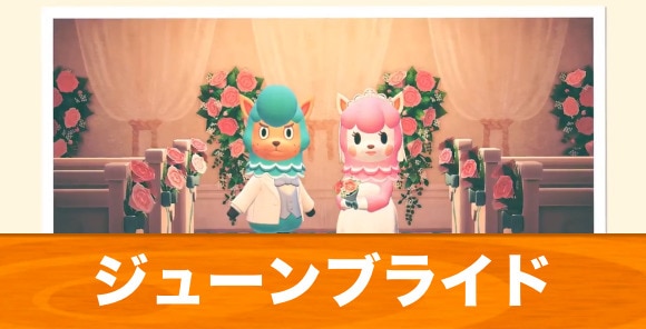 あつまれ どうぶつの森』ウエディング撮影はふざけても許される？ あえて怒られるようなデザインにしてみたインサイド