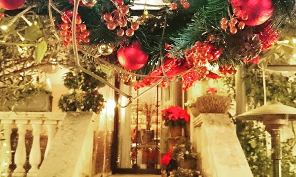 本日よりクリスマスコースご予約受付を開始いたしました🎄✨✨緑に囲まれた一軒家レストランでのクリスマスをお楽しみください✨✨🎁ご予約詳細はプロフィール欄URLよりご確認いただけます😌✨皆様のご来店を心よりお待ちしております♫クリスマスコースクリスマス