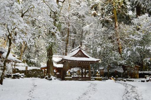 陰陽師に憧れて京都旅 その１ ドタキャンされて怒りのままに「丑の刻参り」の聖地へさかもん ミートテック常備