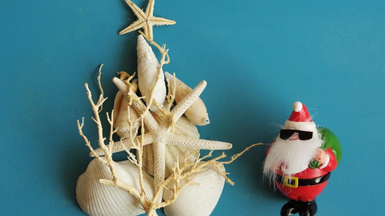 真夏のクリスマス！オーストラリアのクリスマスの過ごし方をご紹介株式会社アミナコレクション