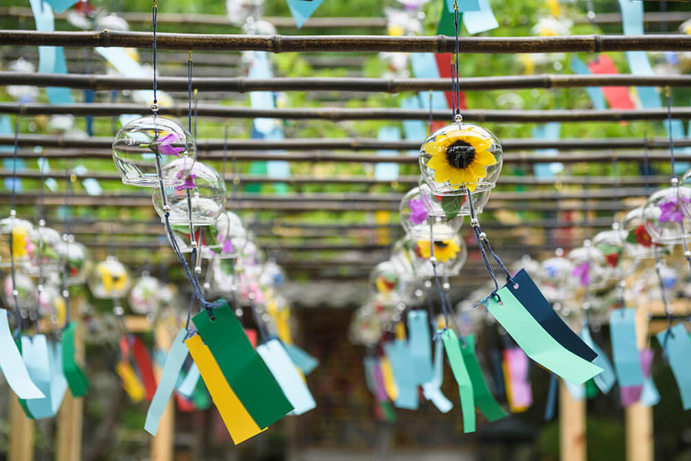2024風鈴まつり 6月1日～9月30日まで※本年は期間延長上の段の赤は太陽、下の段は万物を表しており、天地自然の理に慈しみの心を持って共存していく願いを込めました。京都の夏風鈴といえば正寿院正寿院京都japankyoto御朱印京都の風鈴寺風鈴まつり