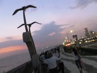 美浜大橋 ホームメイト