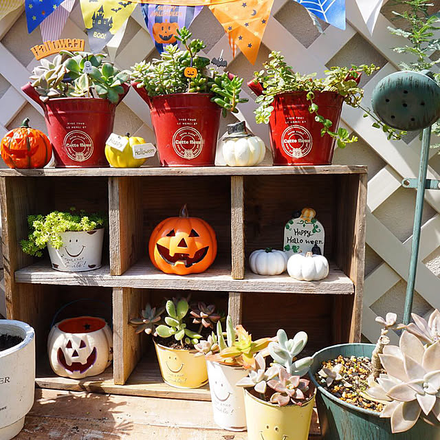 ハロウィン 飾り 屋外 8枚セット ハロウィン 装飾 庭 置物 ゴースト ハロウィーン 装飾 防水 おばけ かぼちゃ 雰囲気作り ガーティー マーカーカボチャ 幽霊 デコレーション ハロウィーングッズ ガーデン お庭 芝生 花壇 鉢植え ベランダ 室内 飾り - メルカリ