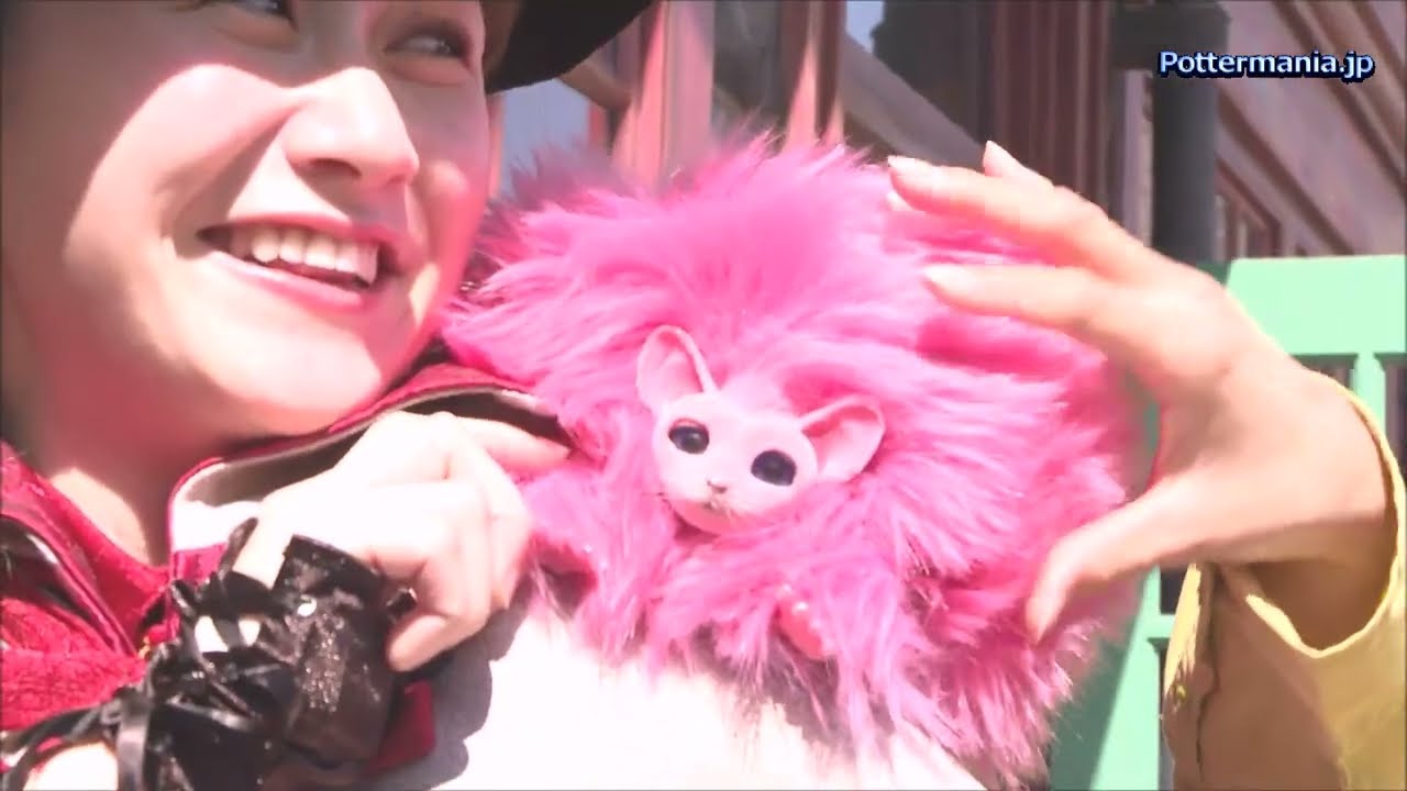 ジネブラ・ウィーズリーHarry Potter WikiFandom