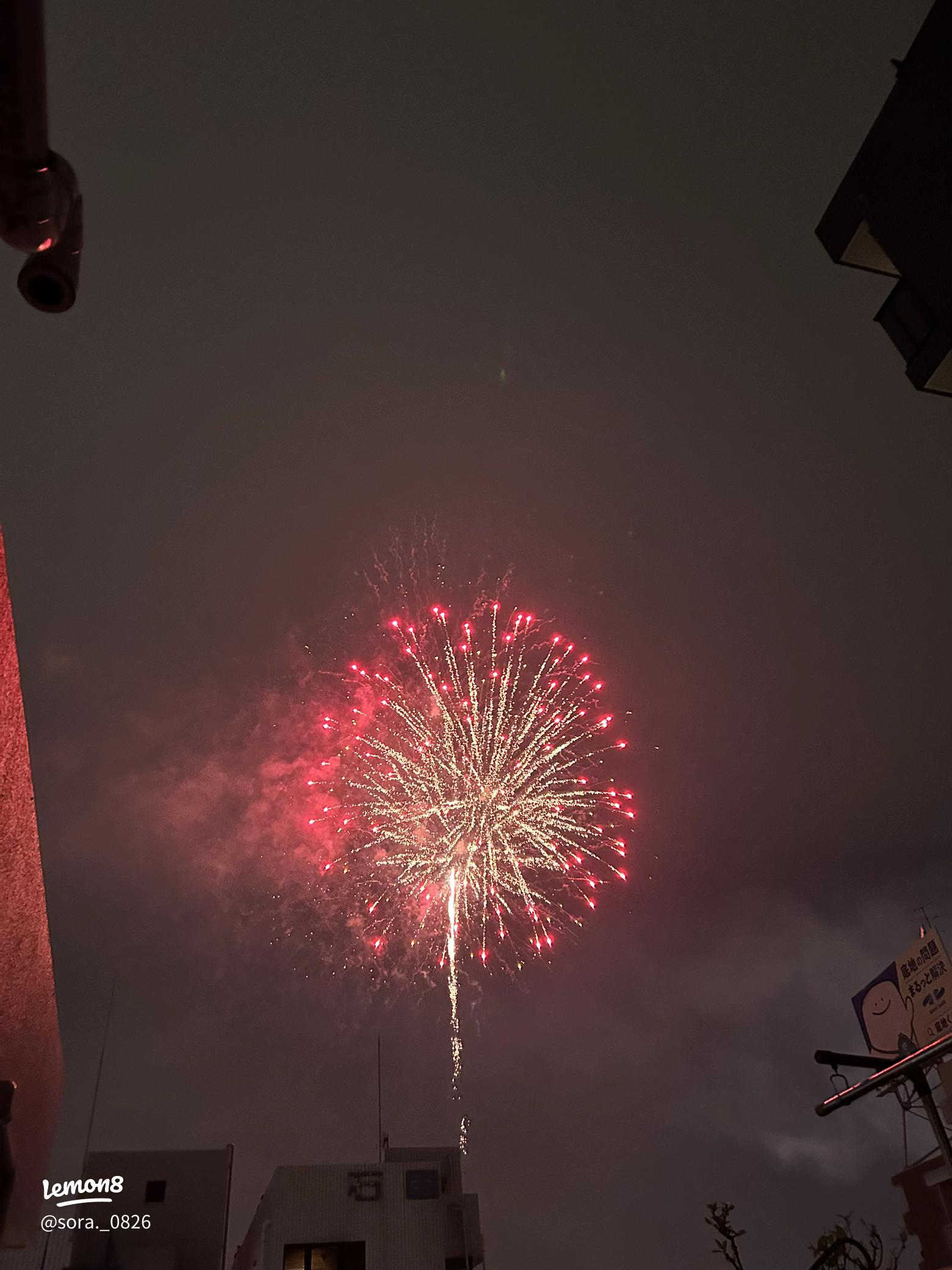 マルコと手持ち花火♪Hi,Marco