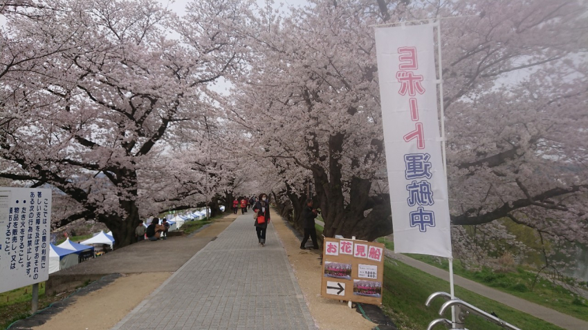 キュアフェリーチェ花海ことはキャラクター「魔法つかいプリキュア！！～MIRAI DAYS～」