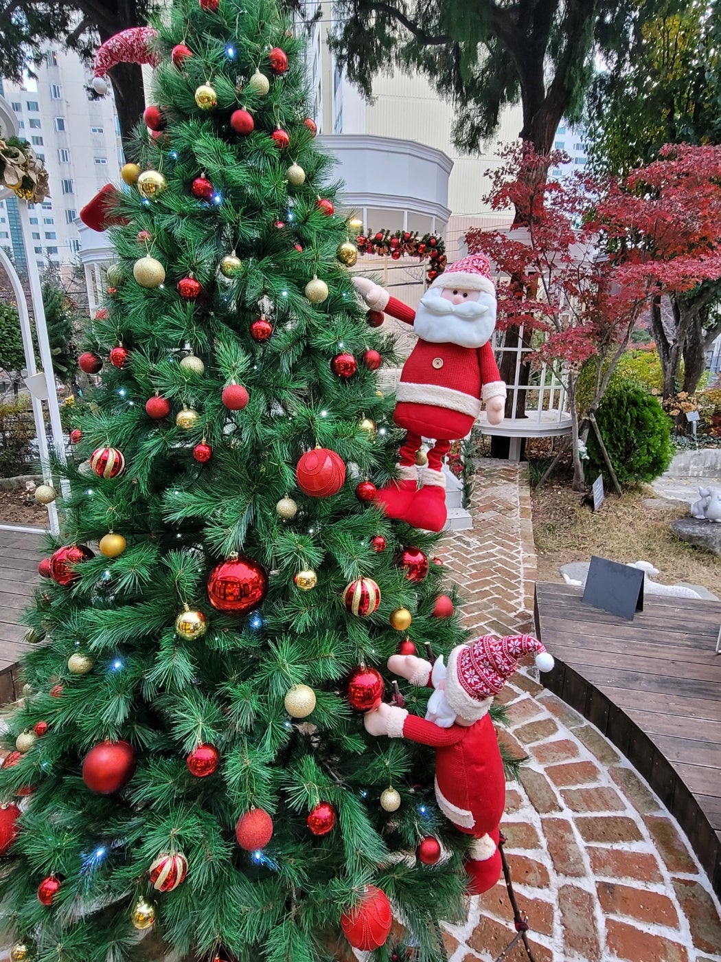 英国 Smart Garden クリスマス オブジェ 水玉 トナカイ ブリキ製 高さ46cm 屋外 飾り 人形 置物 雑貨 かわいい おしゃれ :芝生のことならバロネスダイレクト - 通販 - Yahoo!ショッピング