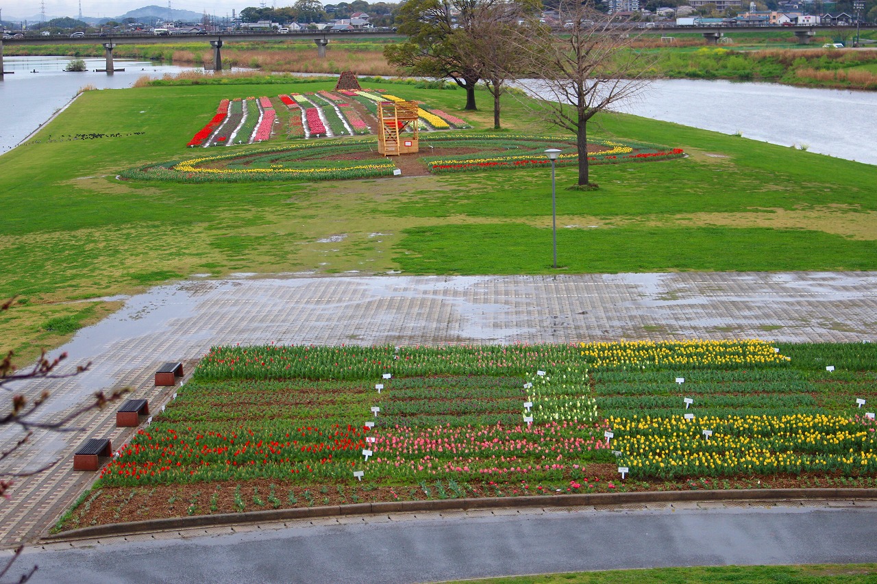 今が見ごろ！ のおがたチューリップフェア２０２３ は４月２日 日 まで！ – へいちくネット 平成筑豊鉄道
