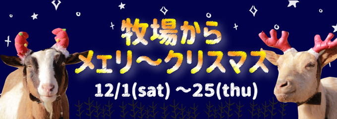 LEDお名前札 名光チャーム 木製オーナメント付き ストラップ付 一点物>silver Star 煌めくシルバースターのクリスマスツリー 星クリスタル R&yCH50 クリスマスツリー Lalagarden R&y 通販 14777626Creema クリーマ