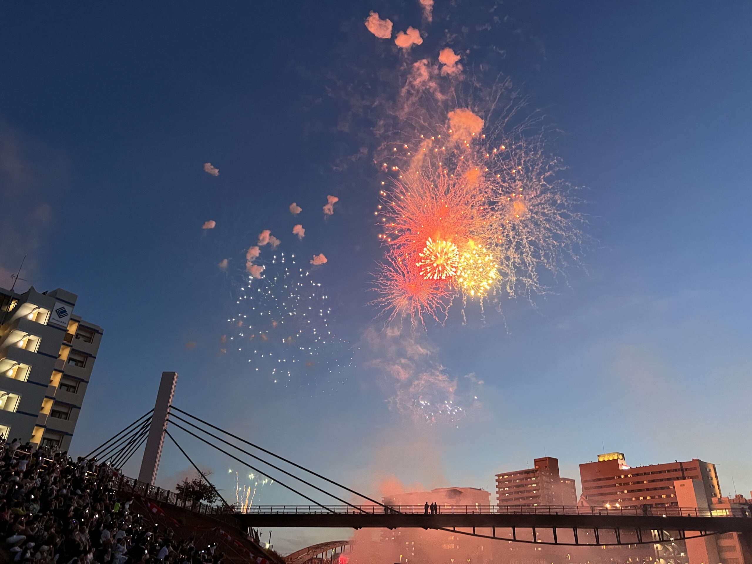 12～1月のイベント情報イベント伊豆観光公式サイト 美伊豆 B-Izu