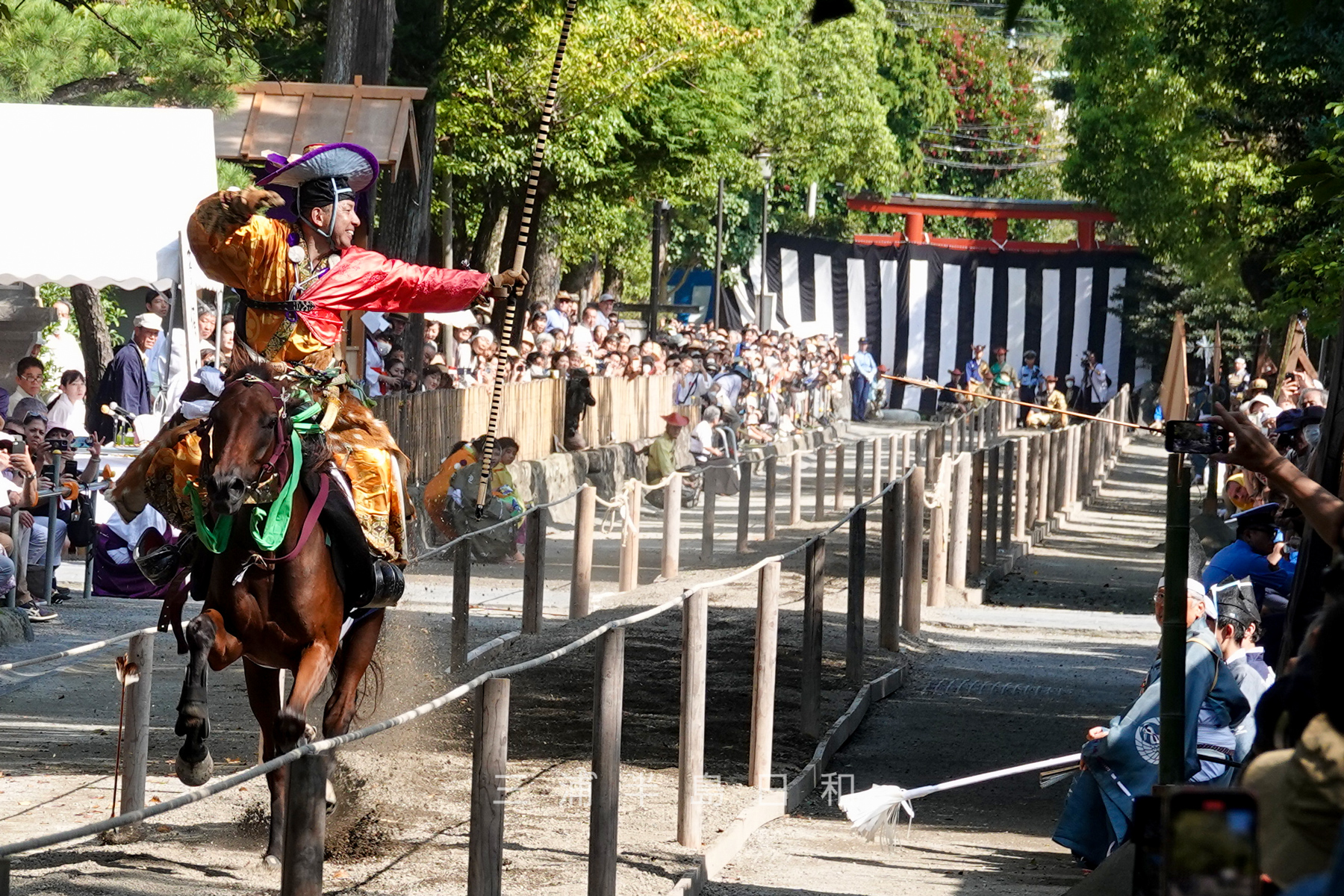 2024年8月6～9日 鎌倉・ 鶴岡八幡宮 で『ぼんぼり祭』大小約４００基 – 神奈川・東京多摩のご近所情報 – レアリア