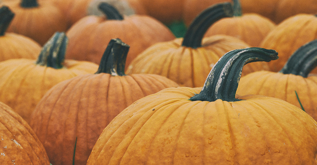 ハロウィンとは？ どんな起源や由来がある？楽しみ方もご紹介！│2025年最新版キッズイベントニュース子供向けイベント企画、キッズワークショップ運営株式会社ピコトン