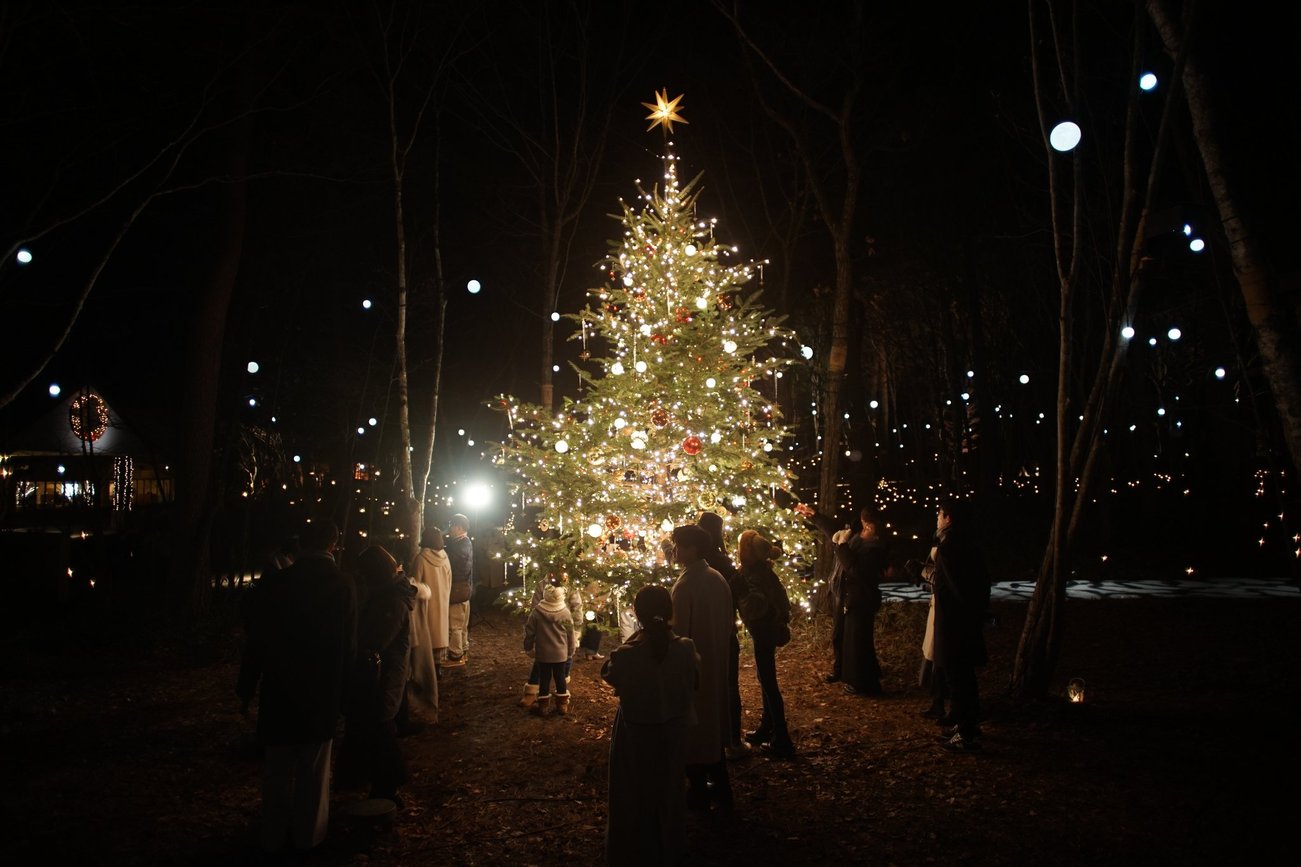 軽井沢高原教会 星降る森のクリスマス