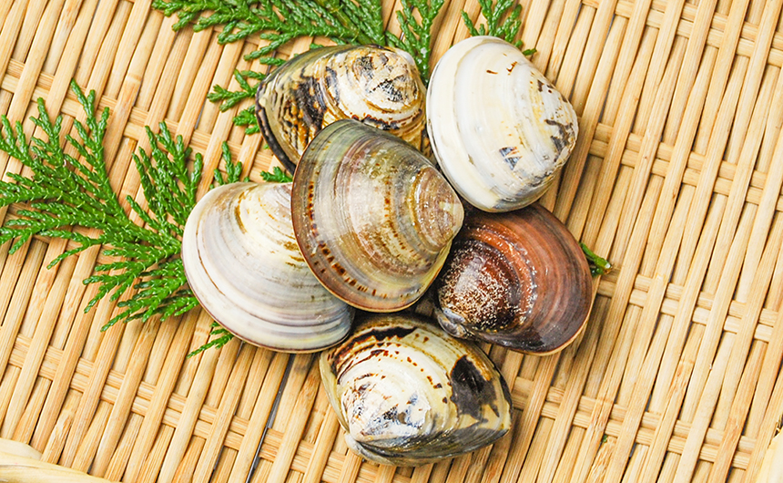 はまぐりのお吸い物の魅力とレシピ2025 年のリアルなLemon8ユーザー体験