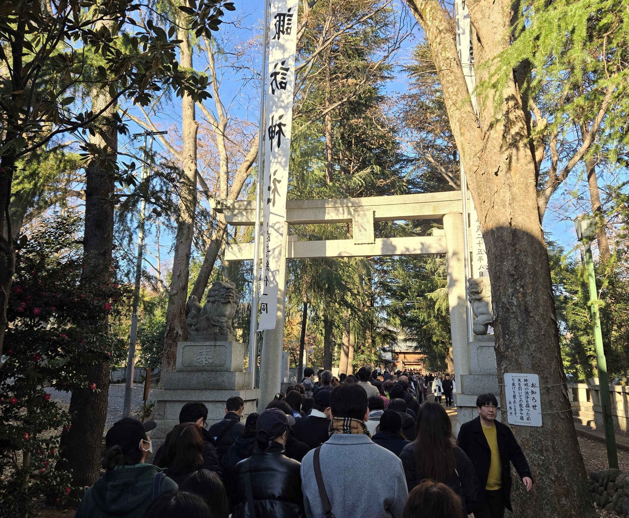 諏訪神社 立川鎮座 初詣 歳旦祭 - 祭の日