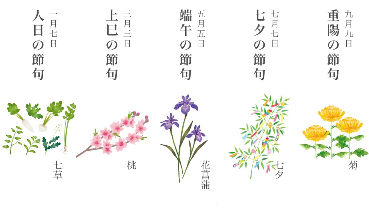 ひな祭りの花5選！桃の節句に花を飾る理由も紹介胡蝶蘭・スタンド花のプレミアガーデン