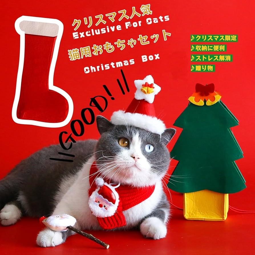 楽天市場 誕生日プレゼント 猫好きの通販 猫好きへの本っぽい