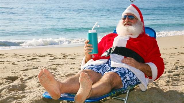 オーストラリアのクリスマス クリスマスツリーに登っちゃったコアラ サーフィンサンタ