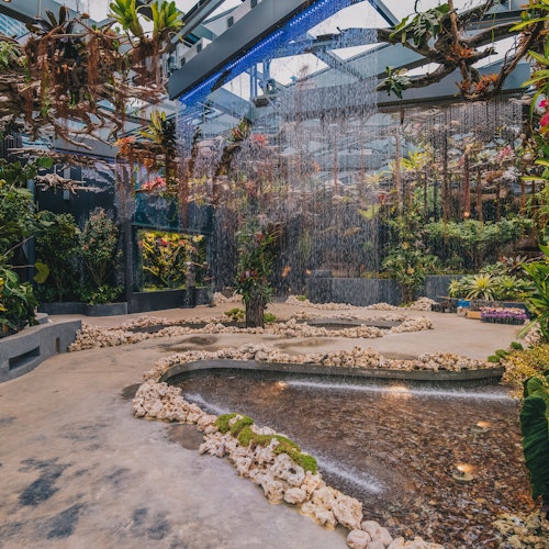 シンガポール 2020年絶対行くべき新スポット！フローラル・ファンタジーのお役立ち徹底ガイドyomoyama.me