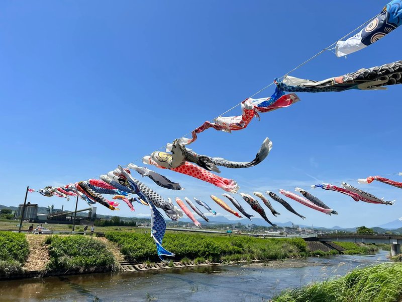 鈴川鯉のぼり祭り グループホームエレクト