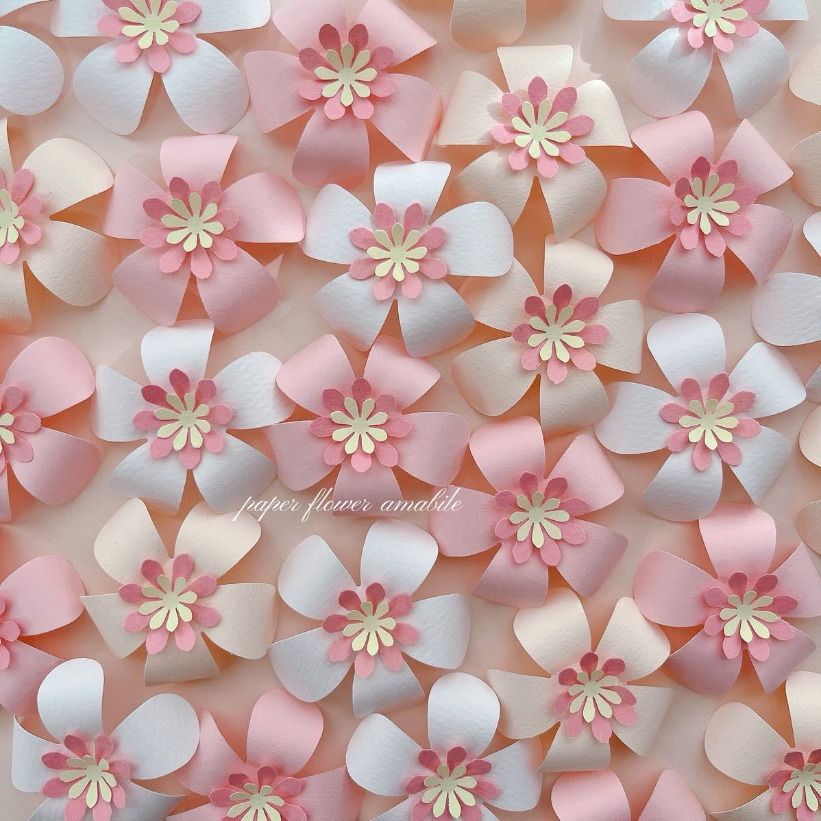 楽天市場当日配送14時迄 さくら 桜 ペーパーファン 飾り 飾り付け ペーパーファン バルーン 風船 春 卒業式 入学式 謝恩会 卒園式バルーンギフト ピンク 結婚式 ウェルカムスペース 飾り 和風 桃の節句 ウェディング 和装婚 ウェルカムスペース 花 : 誕生日