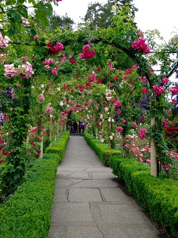 そうだ、ビクトリアに行こう！〜ブッチャートガーデンでアフタヌーンティー〜人生、山あり谷あり湖あり！！英語が出来なくても何とかなる！？ inCanada