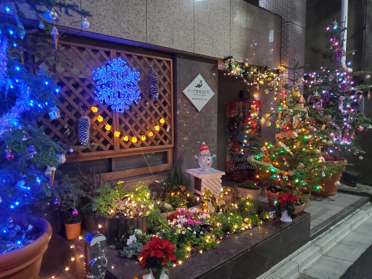 2023 クリスマスの花 おうちで花と楽しむクリスマス花・花束を贈るフラワーギフト通販の 日比谷花壇 公式