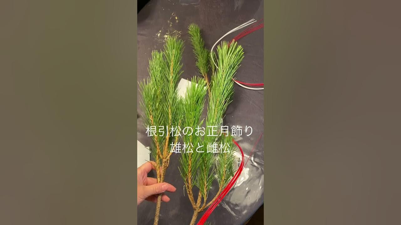 根引き松の取り付け方京都の花屋「花政 はなまさ 」