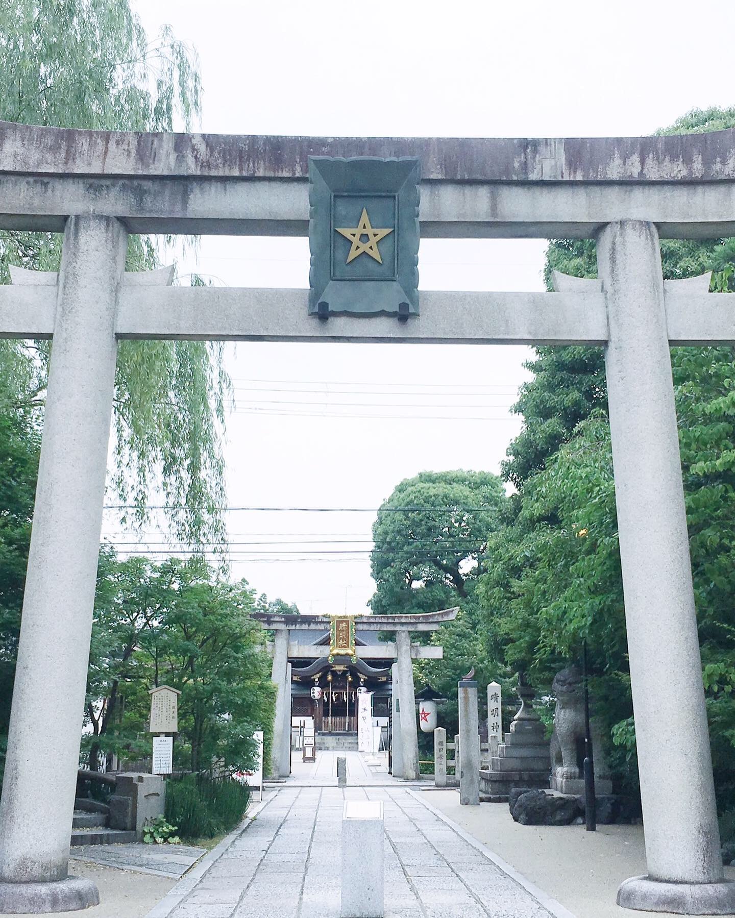 2022京都神社 桔梗見頃☆陰陽師安倍晴明祀るパワースポット「晴明神社」 - Kyotopiキョウトピ京都情報・観光・旅行・グルメ