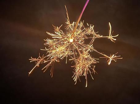 ゆんフリー写真素材集 : No. 9029 手持ち花火の輝き日本東京