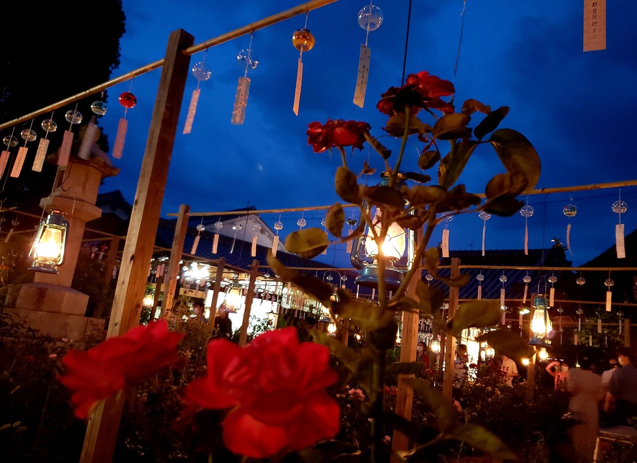 幻想的すぎる！おふさ観音の提灯・夜間ライトアップをご紹介します！ -公式ブログ 奈良・大和八木「ゲストハウスはじまり」