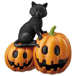 スタバ」のハロウィングッズはチェック済み？いたずら好きな黒猫モチーフのボトル＆タンブラーが人気沸騰中！ - isuta イスタ-私の“好き”にウソをつかない