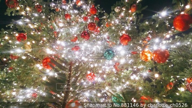 LYCGS 10X8フィート クリスマス背景幕 冬の雪景色 写真撮影用背景幕 クリスマスウィンドウ背景クリスマスツリー&パーティーデコレーションバナー X-171