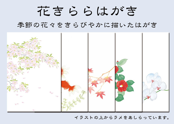 お歳暮に最適な送り状・お礼状の絵葉書の無料テンプレートさきちん絵葉書