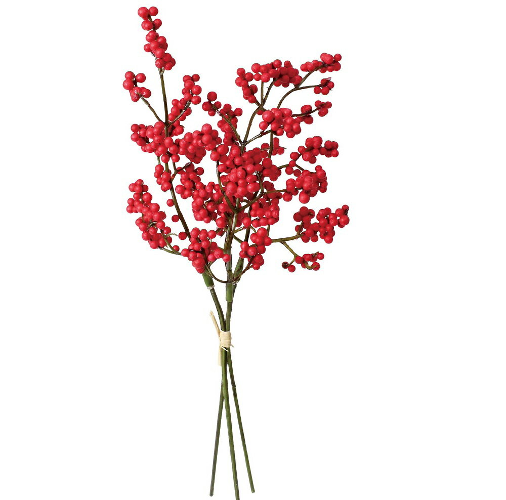 縁起もいい！冬に見られる赤い実の植物は何？LOVEGREEN ラブグリーン