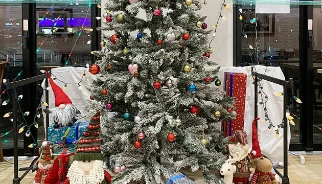 お台場レインボー花火☆開催情報Yakei Memory 夜景フォトギャラリーサイト