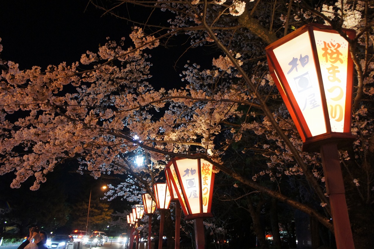 屋台、夜桜も楽しめます - 開成山公園・開成山大神宮の桜のクチコミ - じゃらんnet