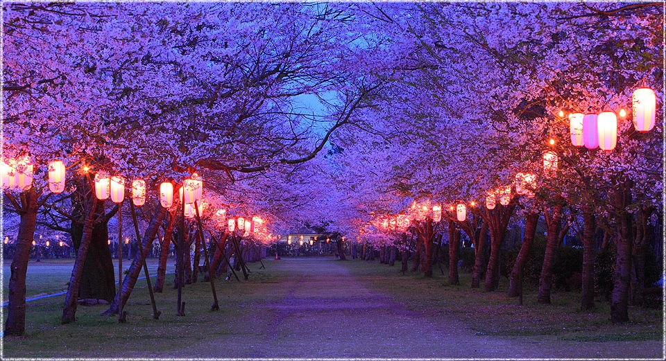 忠元公園 鹿児島県伊佐市- 夏休みおでかけガイド2025