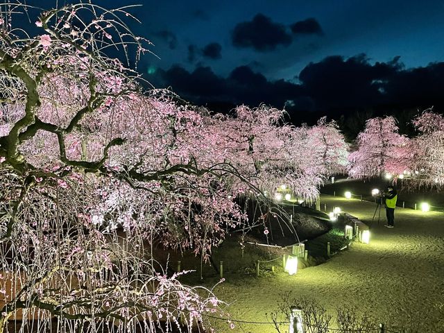 鈴鹿の森庭園 Suzuka Forest Garden公式
