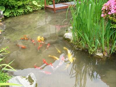 BANDAI - たまごっち ままぱっち ちびぱっち 缶バッジ 極楽湯 tamagochiの通販 by ティガー's shopバンダイならラクマ