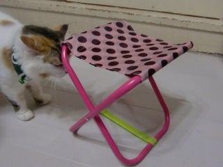 ダイソー商品リメイクで、折りたたみキッズチェアー！運動会にもお役立ち☆CHANTO WEB