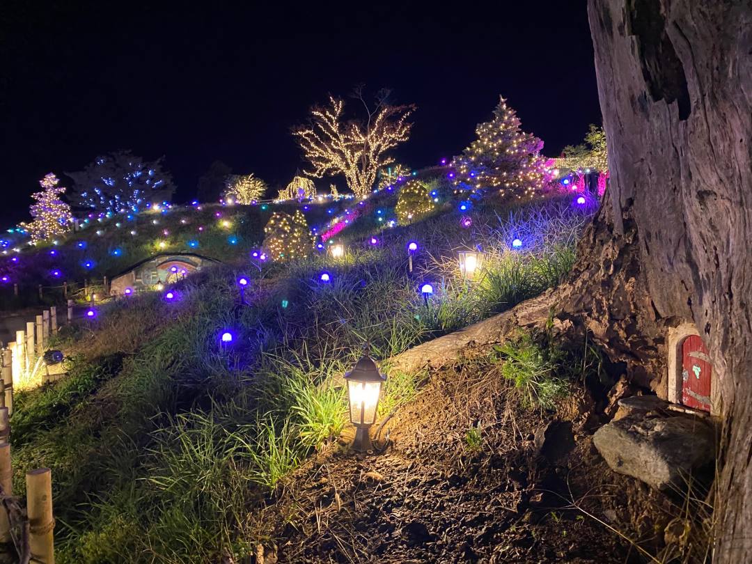 ファイナル開催‼ 自然派イルミネーション「ローザンイルミ～ひかり奏でる丘～」2023年10月7日 土 開催スタート‼プレスルームローザンベリー多和田