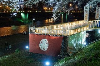 ぼんぼり提灯 ちょうちん桜 30cm提灯 ちょうちん －特殊提灯 子供用.comイベント用品とパーティーグッズの通販