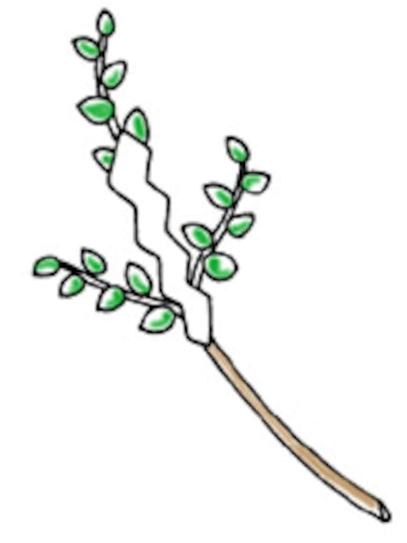 図解 神式の葬儀マナーとは？仏式と違いはある？香典の表書きや玉串奉奠の作法とは