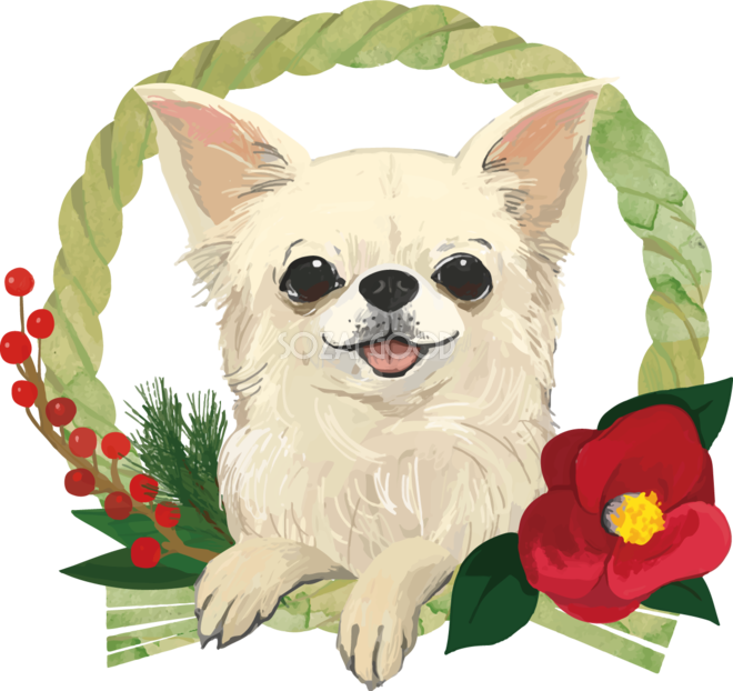 2022年干支寅年お正月年賀状素材・虎・に独楽回し こま回し トラのワンポイントイラスト素材無料イラスト素材TemplateBox