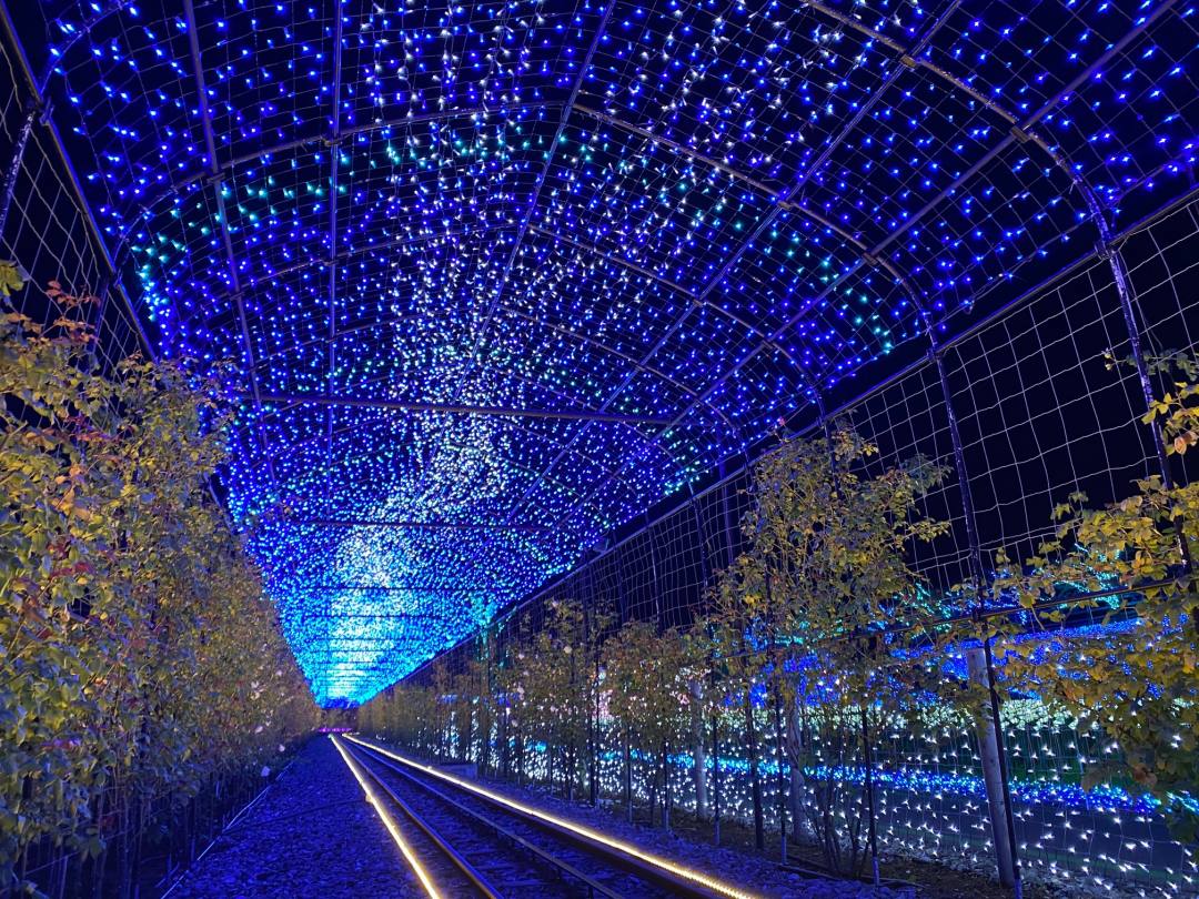 滋賀の復活イベント「HIKARIUM」イルミネーション情報